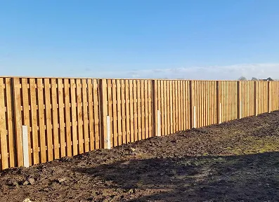 section c image 1