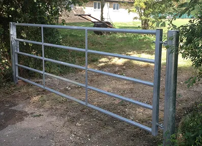 section c image 1